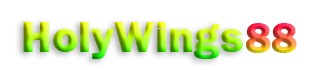 HOLYWINGS88